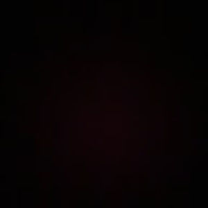 Meet your Posher, Abigail